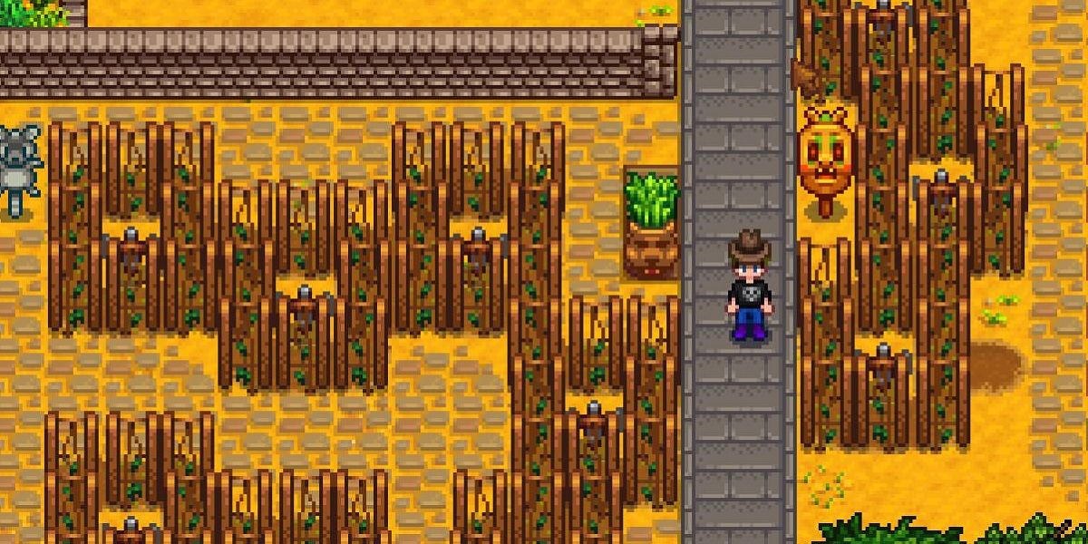 A garden full of Hops in Stardew Valley