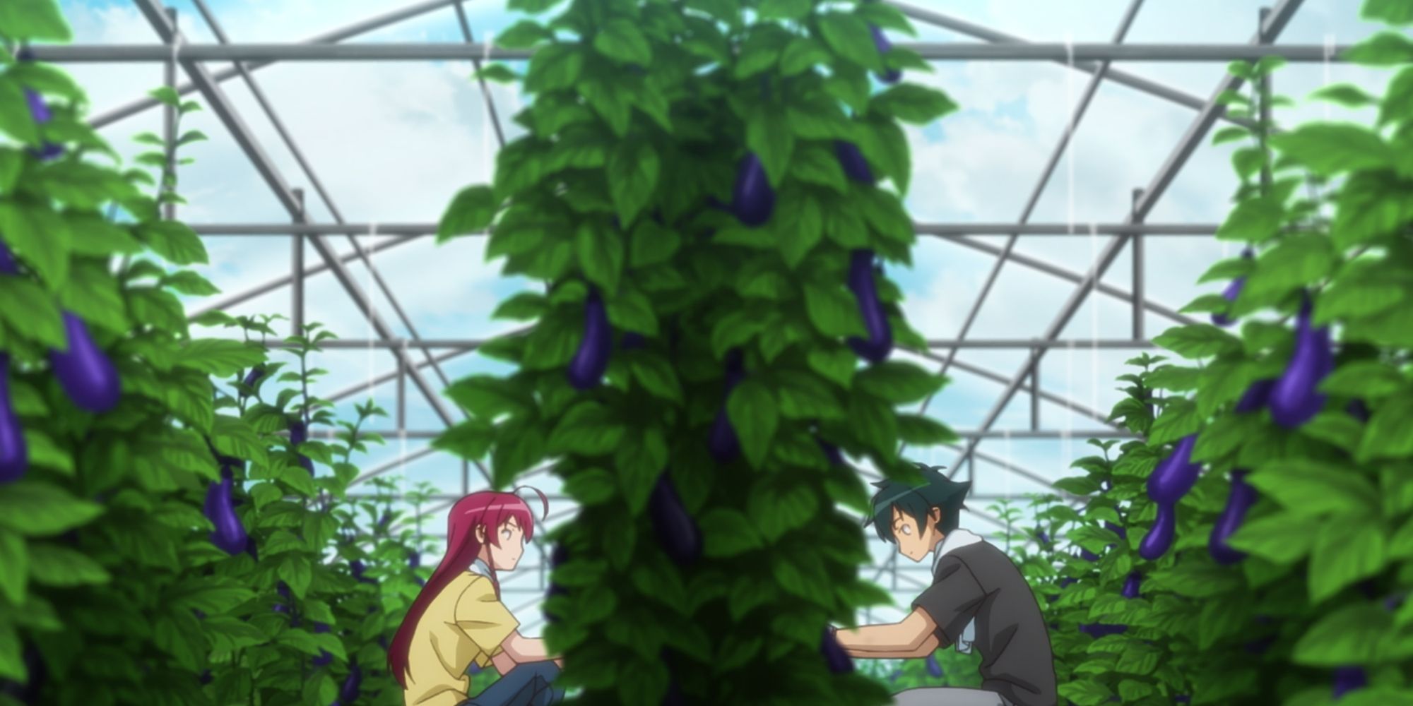 Wide shot of Emi Yusa and Sadao Maou harvesting eggplant in The Devil Is a Part-Timer!.