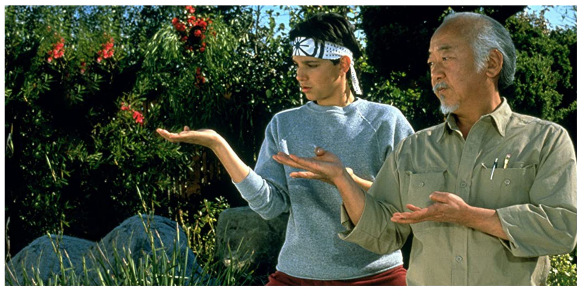Daniel and Miyagi in The Karate Kid (1984)