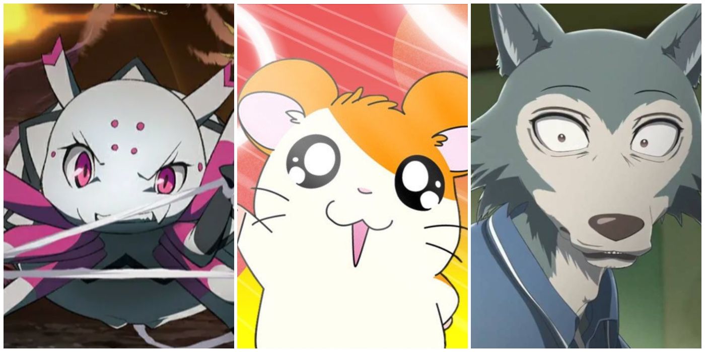 10 Best Anime With Animal Protagonists, Ranked