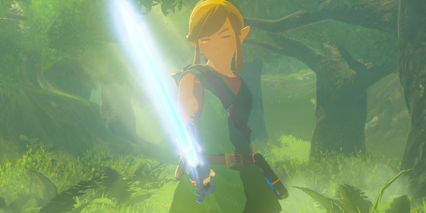 Link acquires Master Sword In Legend Of Zelda Breath Of The Wild