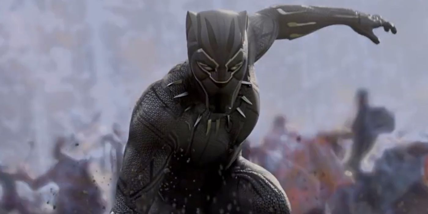 Black Panther fighting in his solo MCU movie.
