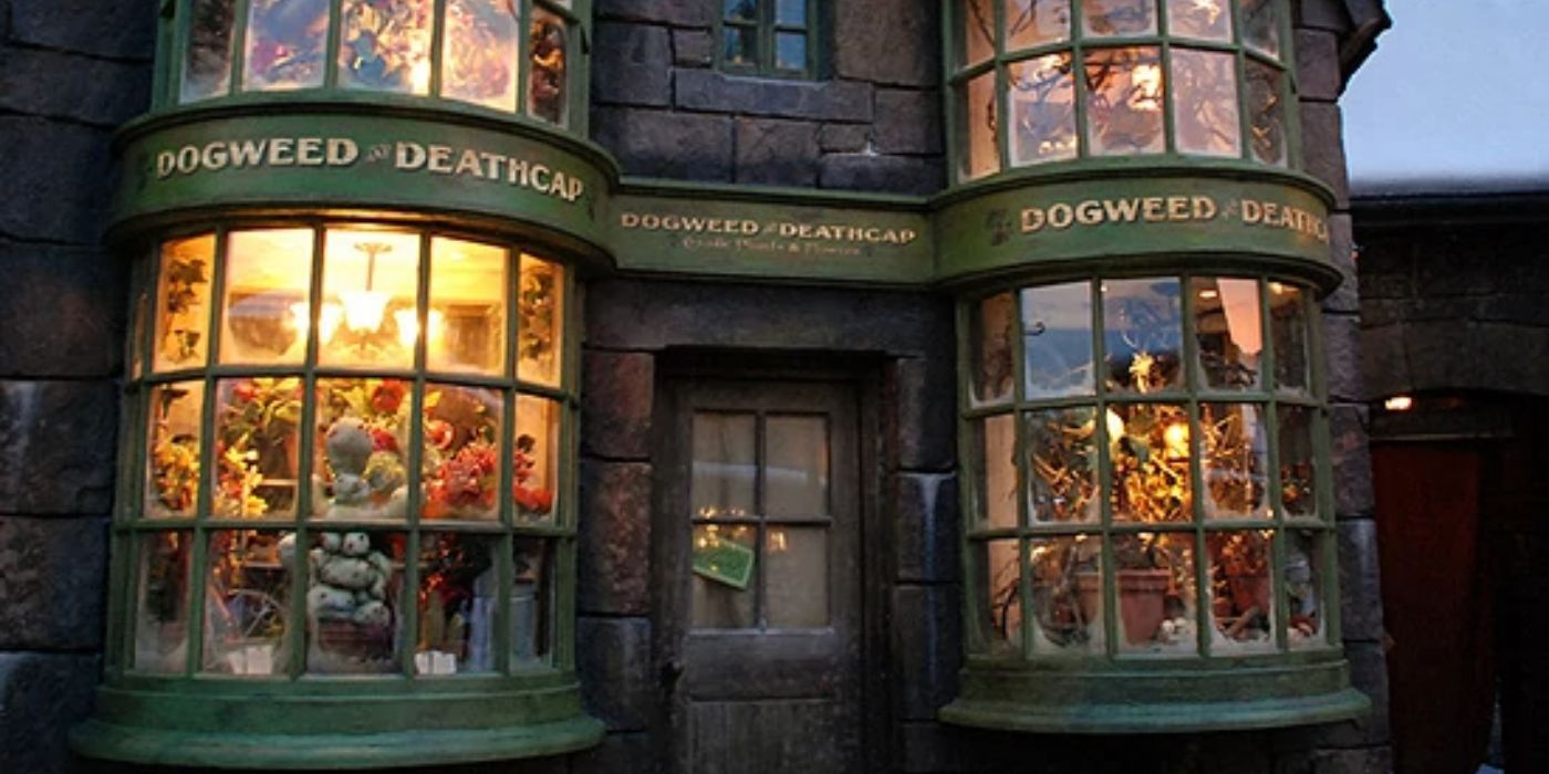 10 Best Hogsmeade Shops In Harry Potter   Dogweedjpg2 