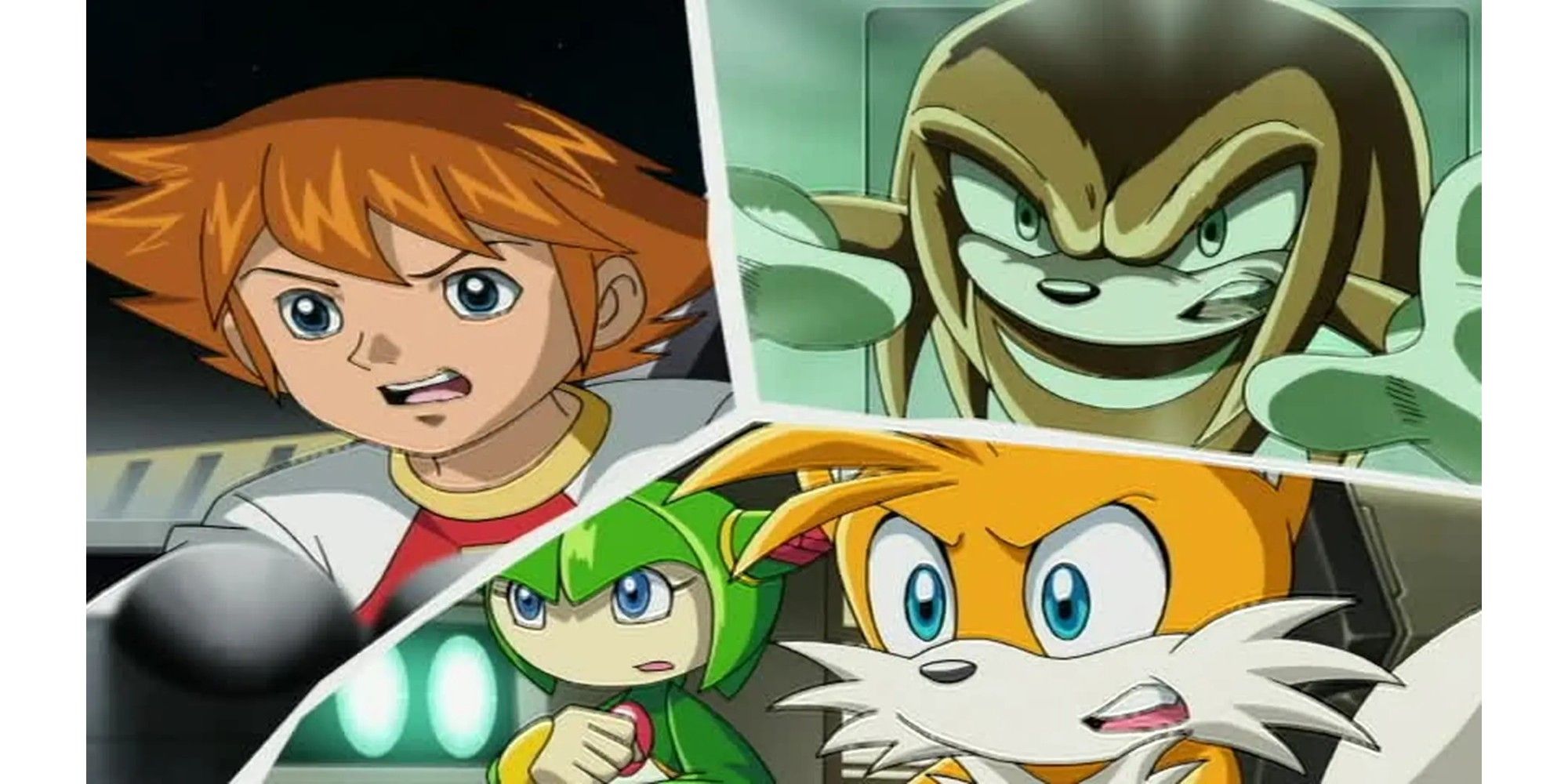 (left to right) Chris, Cosmo, Tails and Knuckles from Sonic x 