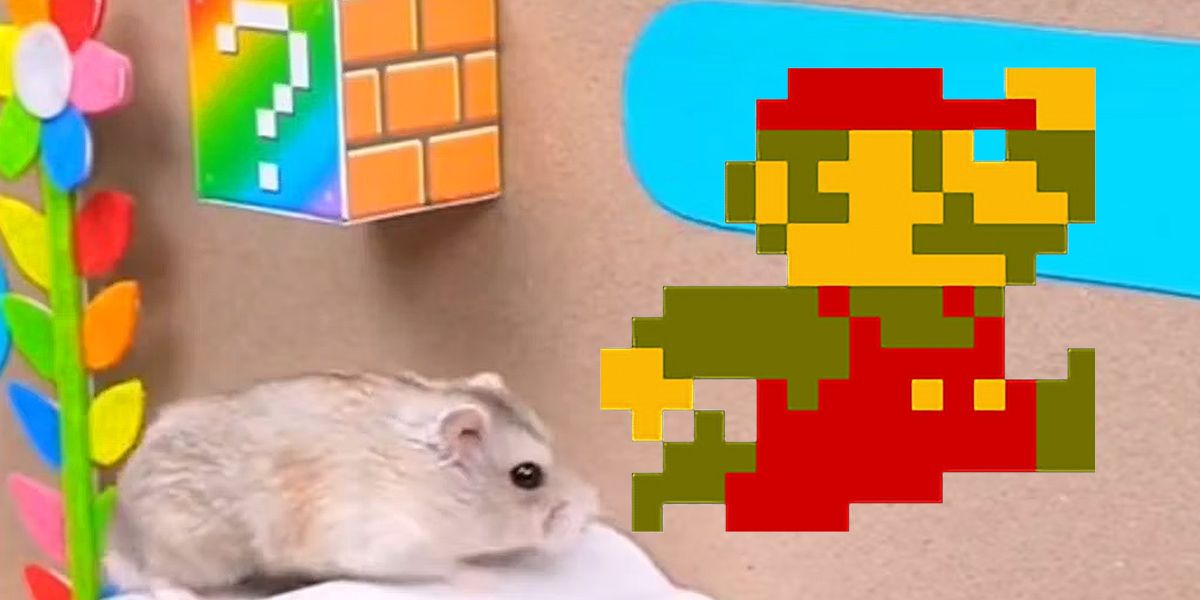 Super Mario Hamster