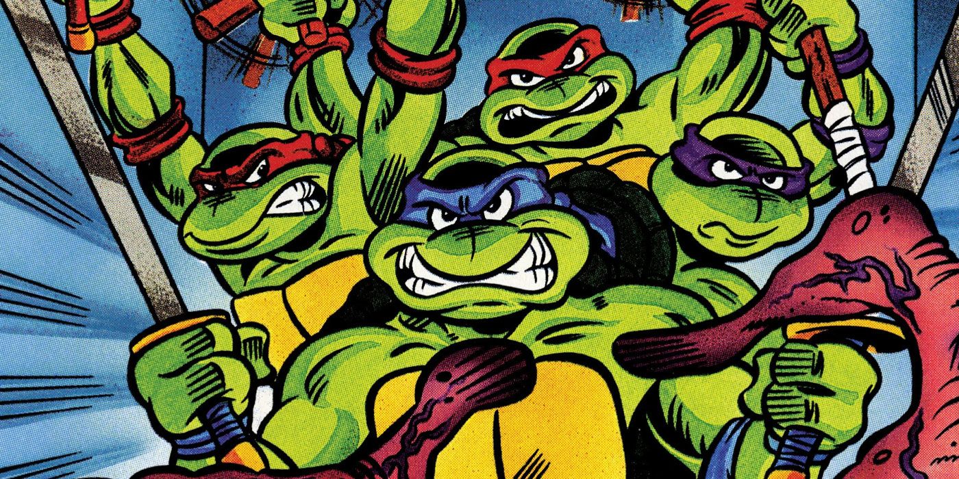 Ninja Turtle's Many Lost (and One NSFW) Adventures Comics