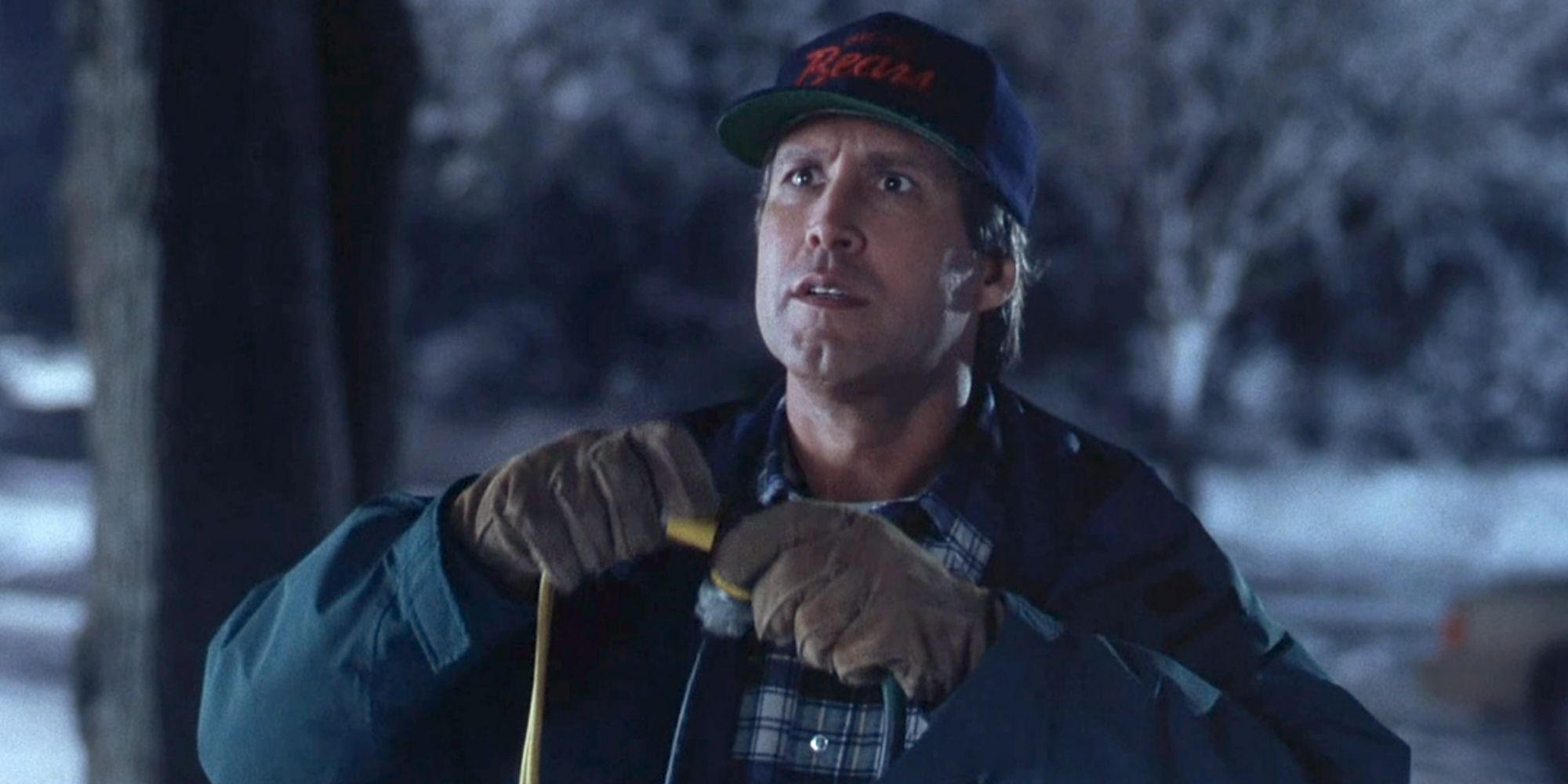 Chevy Chase In Christmas Vacation