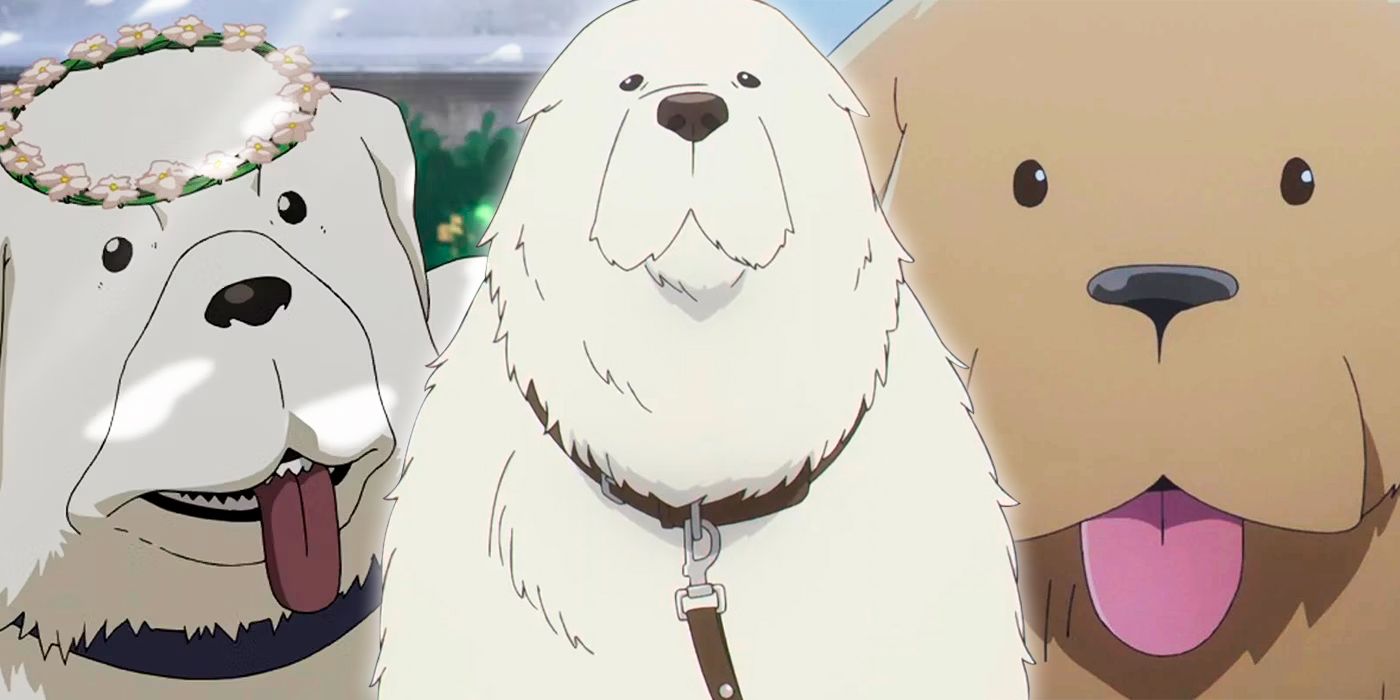 25 Best Anime Dogs Mans Best Friend in Anime Shows  Movies  FandomSpot