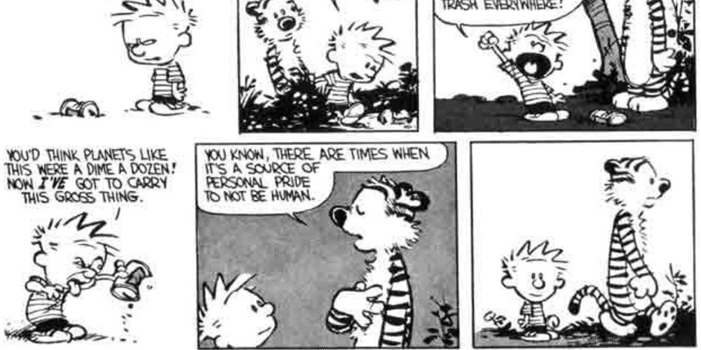 Calvin and Hobbes react to finding litter in the woods