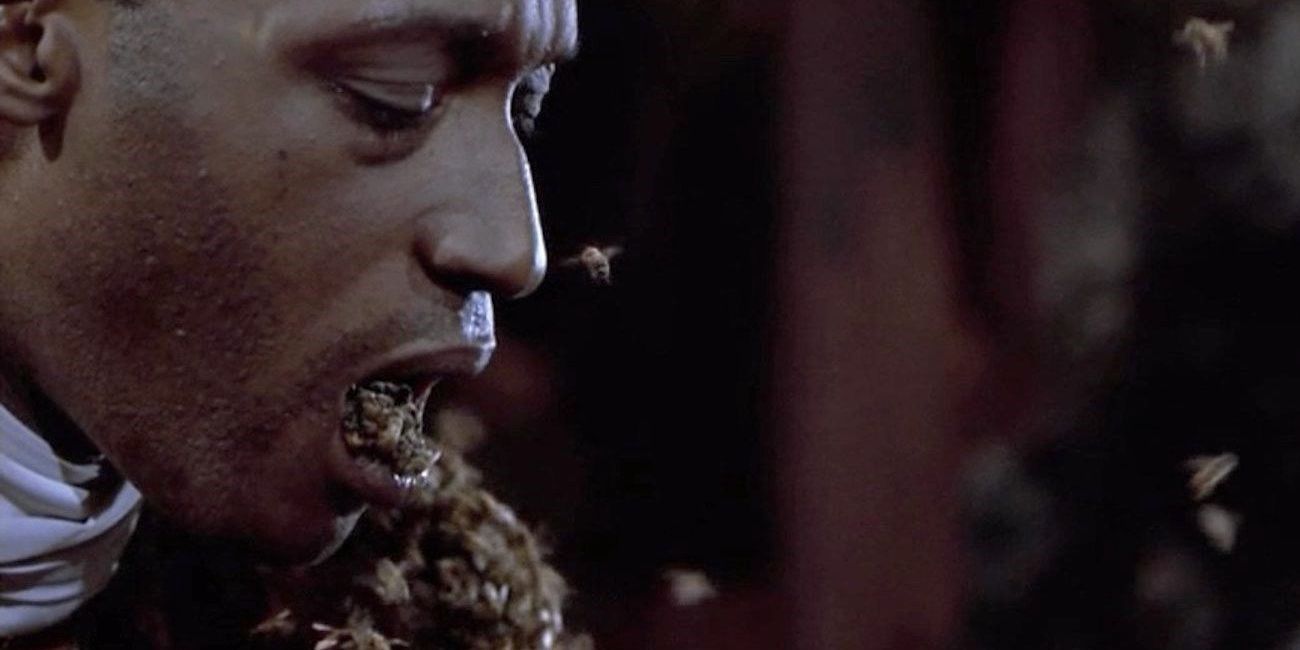 Candyman 1992: Tony Todd Releases Bees