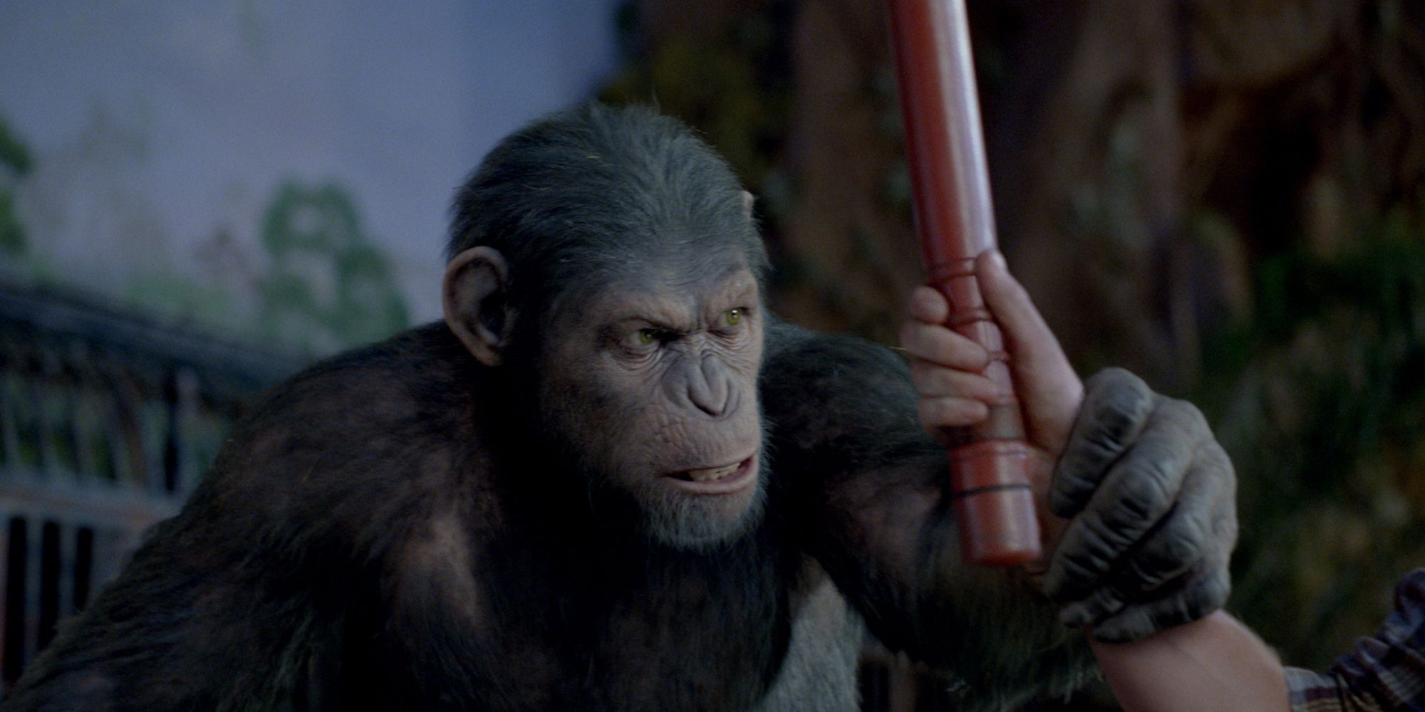 One of the apes in Rise of the Planet of the apes