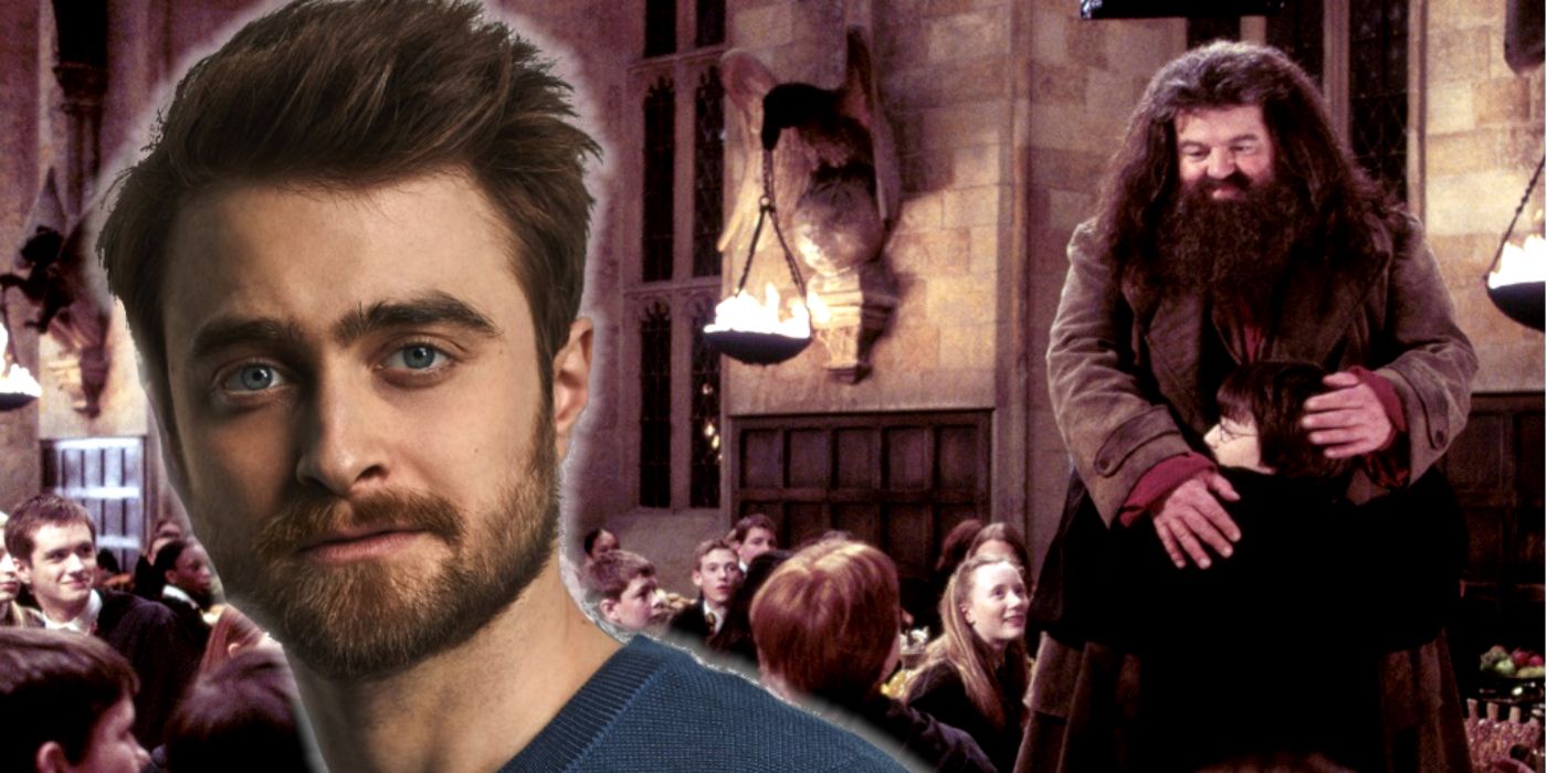 Daniel Radcliffe superimposed on screenshot from Harry Potter with Harry and Hagrid