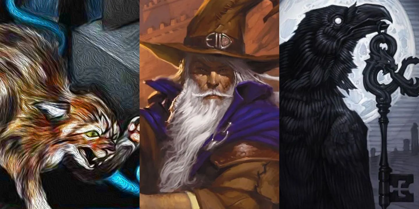 D&D 5E - Family Feuds and Wizard Hats