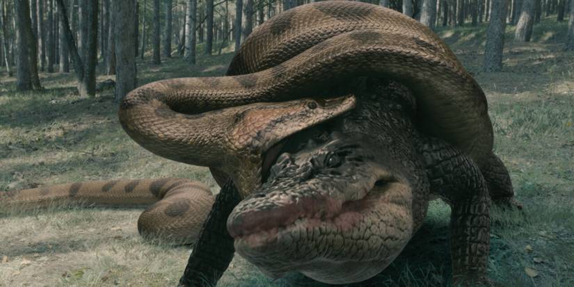 Battle Scene from Lake Placid Vs. Anaconda