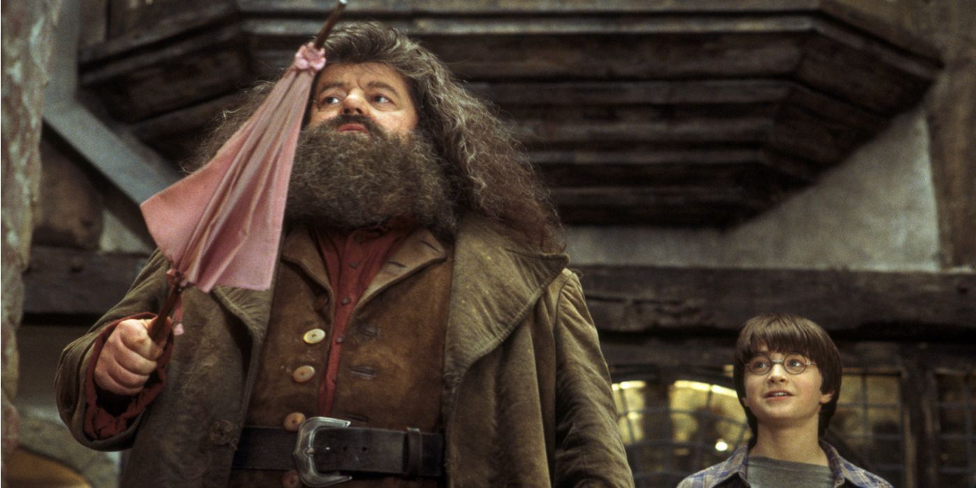 Rubeus Hagrid and Harry Potter in Diagon Alley
