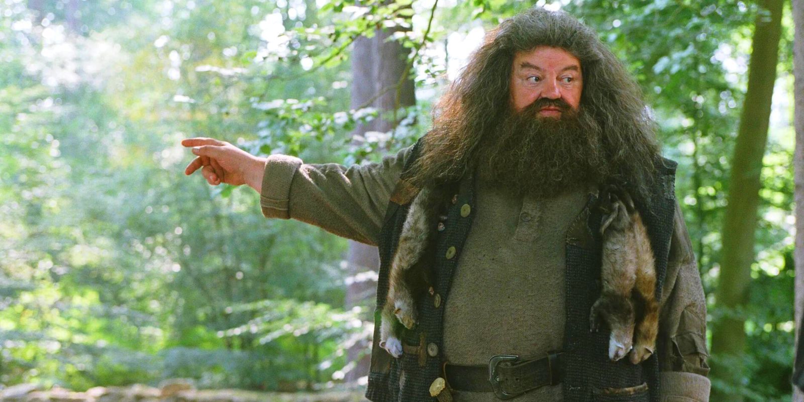 Robbie Coltrane as Hagrid pointing into a forest