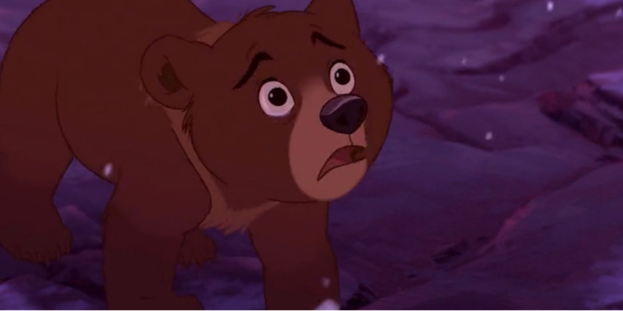 Brother Bear's Koda is shocked upon learning of his mother's demise