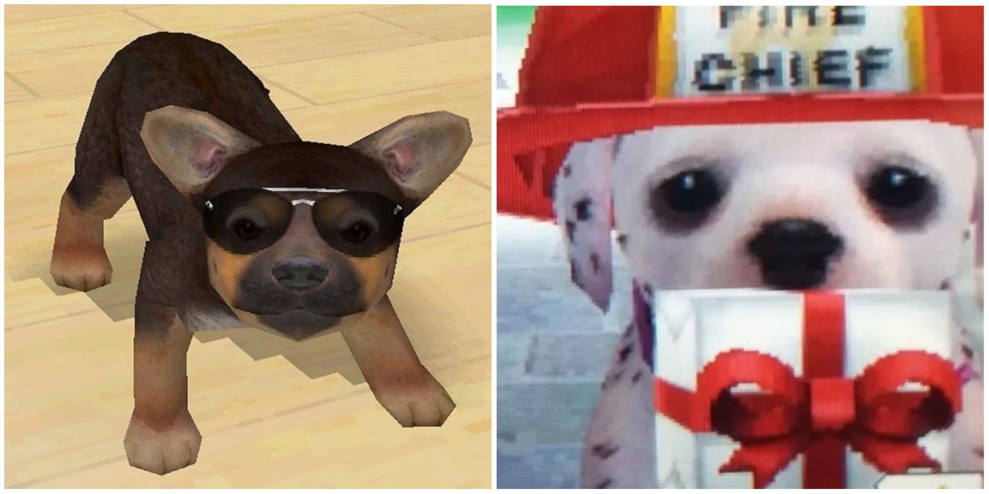 Accessories and presents in Nintendogs