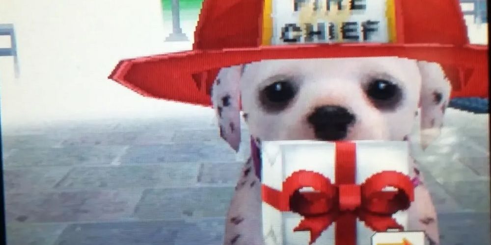 Dog holding a present in its mouth, Nintendogs