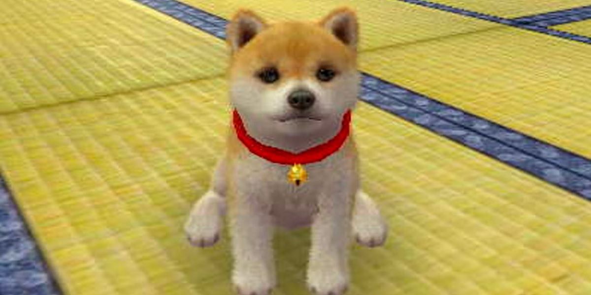A dog sitting looking at the player, Nintendogs