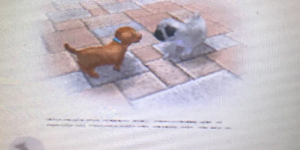Two dogs interacting from the Nintendogs Bark Mode booklet