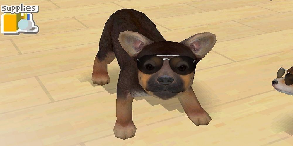A dog wearing the sunglasses in Nintendogs