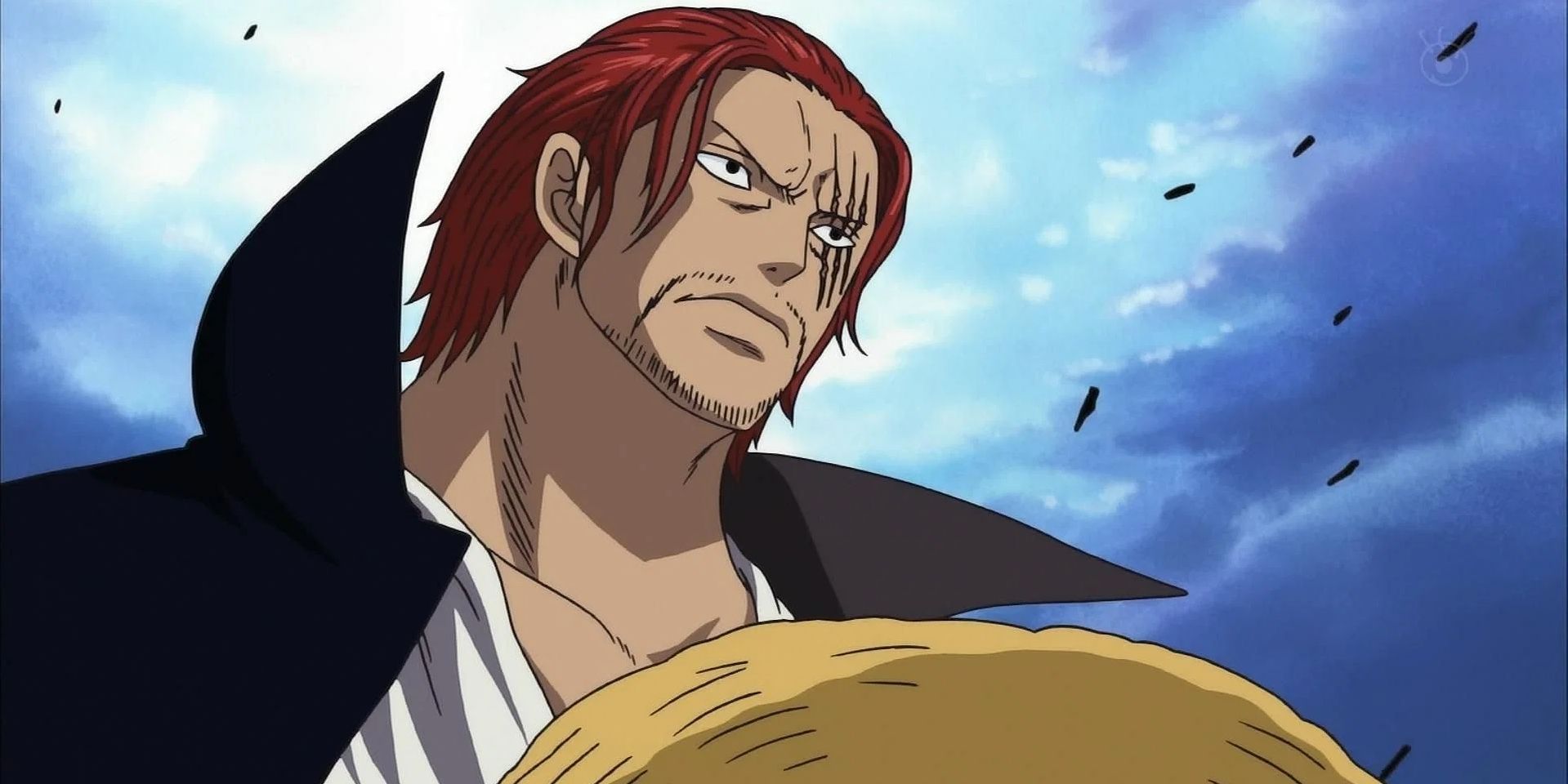 One Piece's 10 Most Iconic Scars