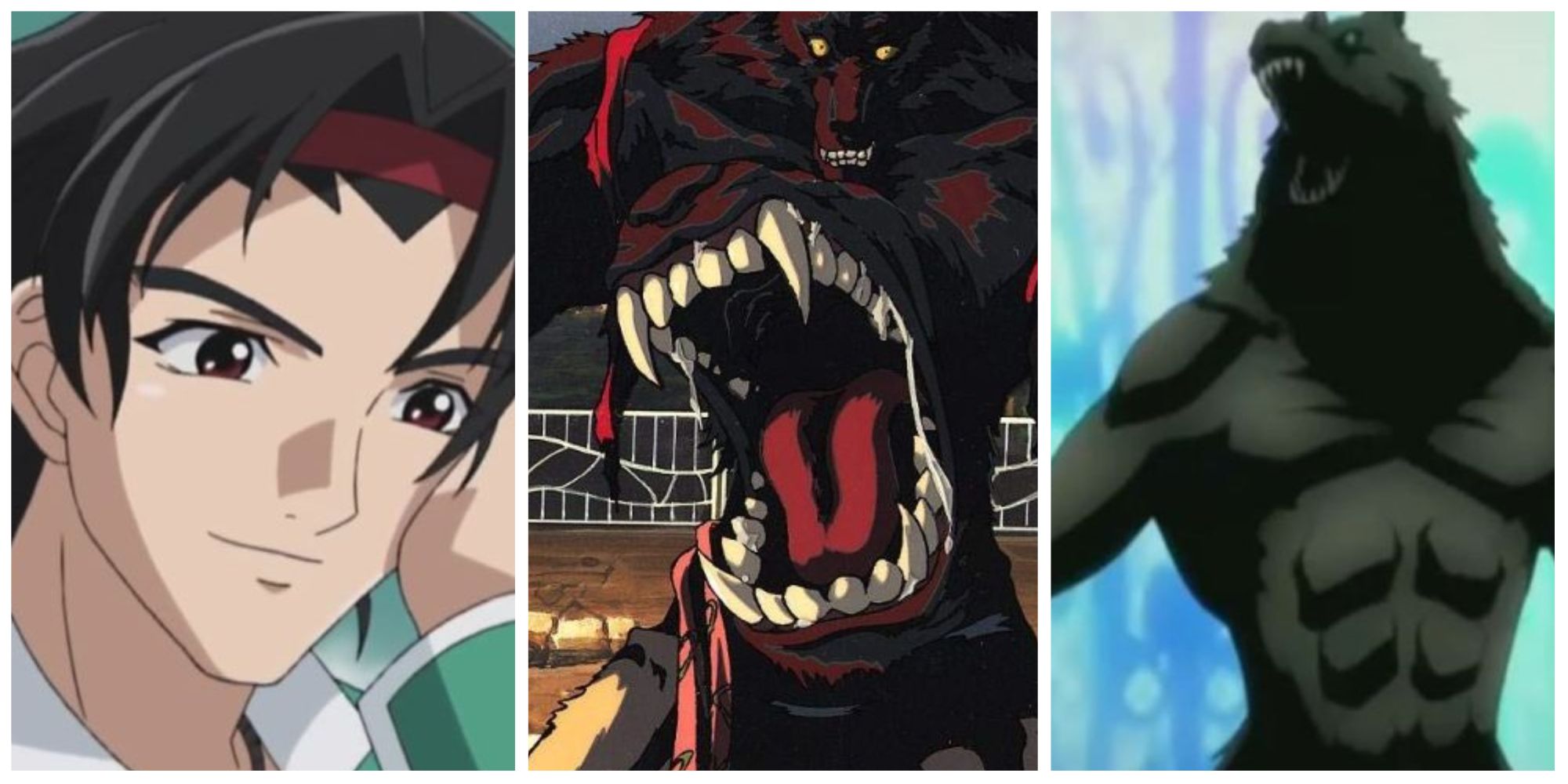 Anime That Involves Werewolves Either as The MC or as a Supporting  Character or a Main Antagonist : r/anime