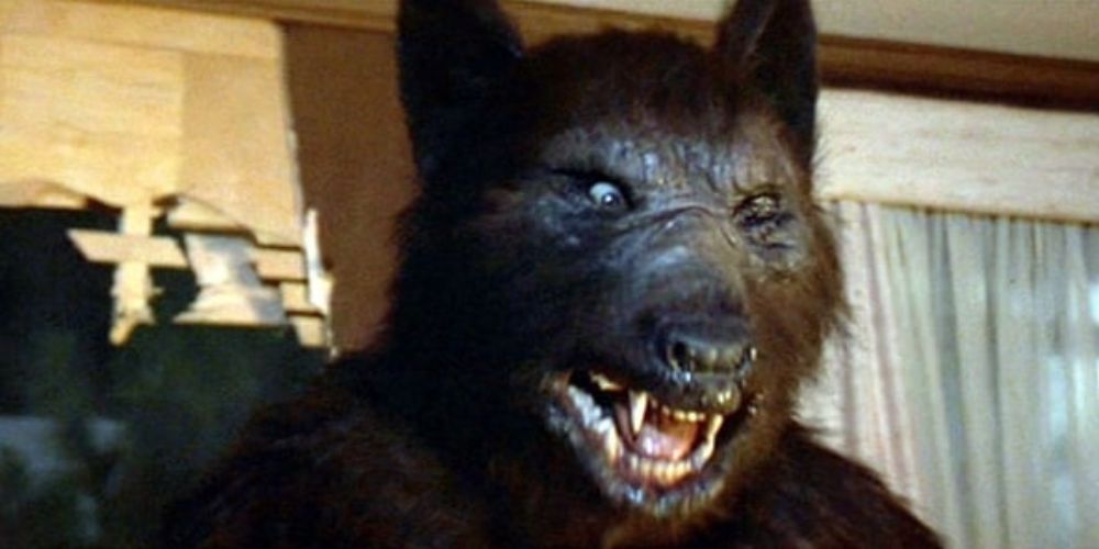 The not so intimidating Werewolf from Silver Bullet attacks