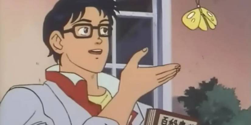 The Brave Fighter of Sun Fighbird- Is This A Pigeon Scene