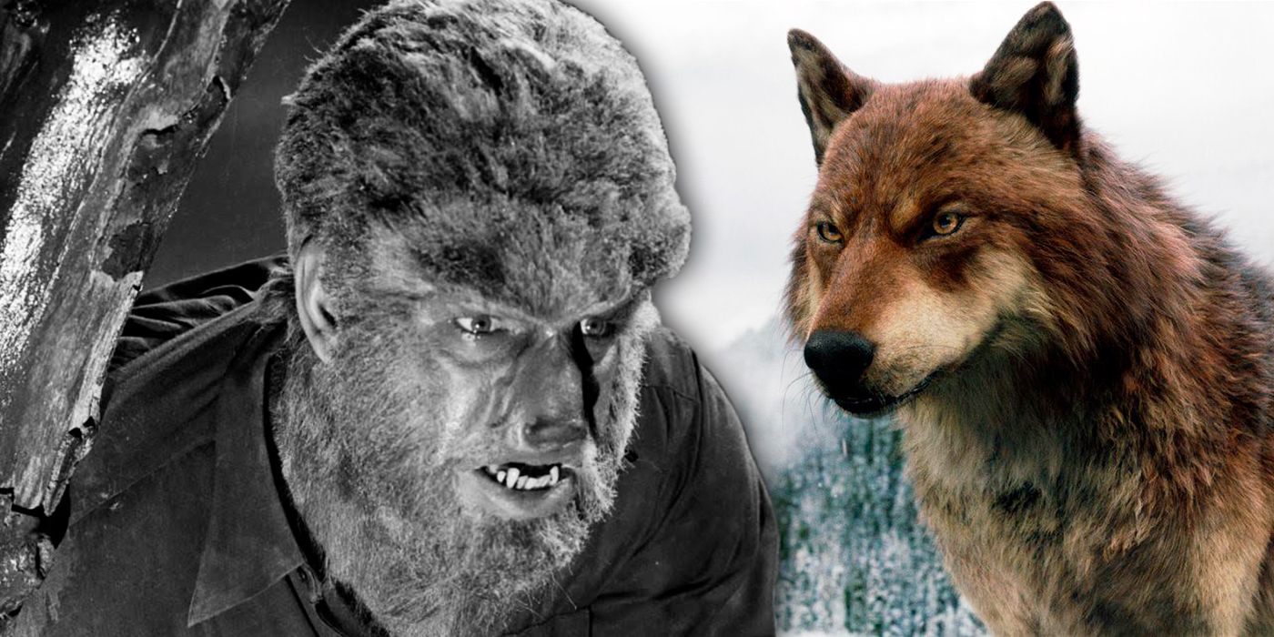 Every Must-See Werewolf Movie and Where to Watch Them