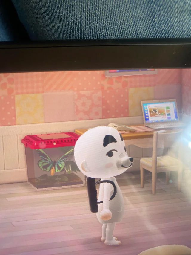 Animal Crossing Fanmade KK Slider Costume Is Terrifying