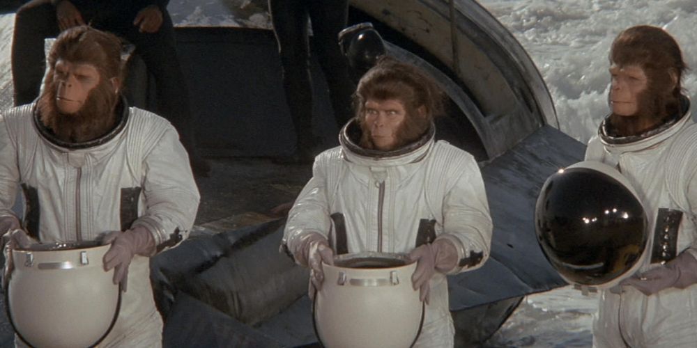 Планета обезьян: почему люди не умеют говорить