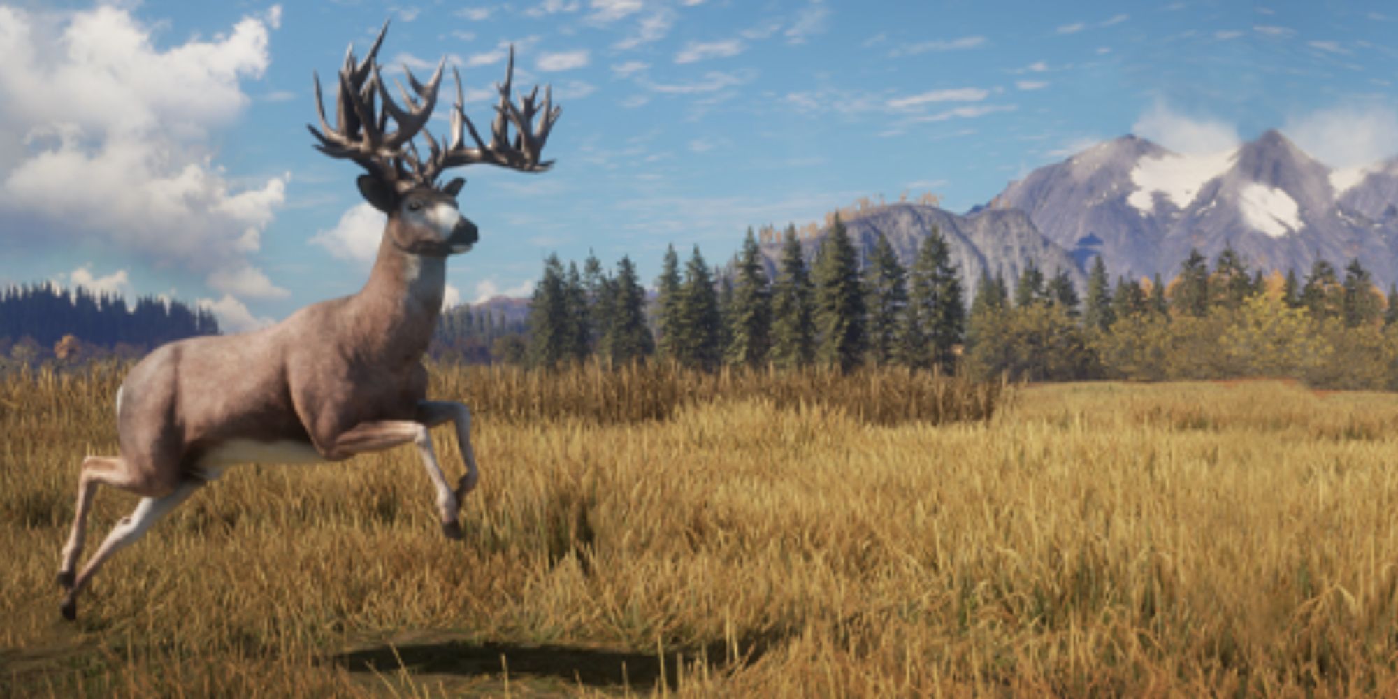 An image of gameplay from The Hunter Call Of The Wild Deer