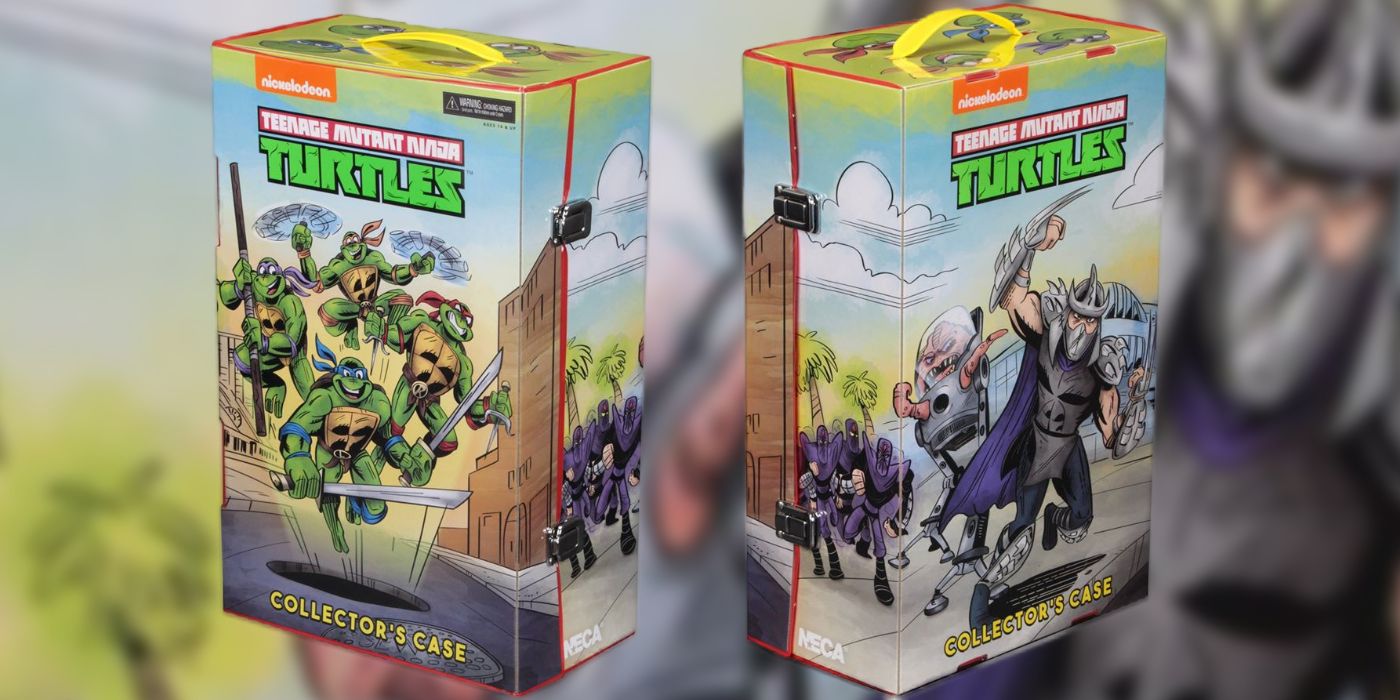 tmnt 30th anniversary cartoon box from two angles