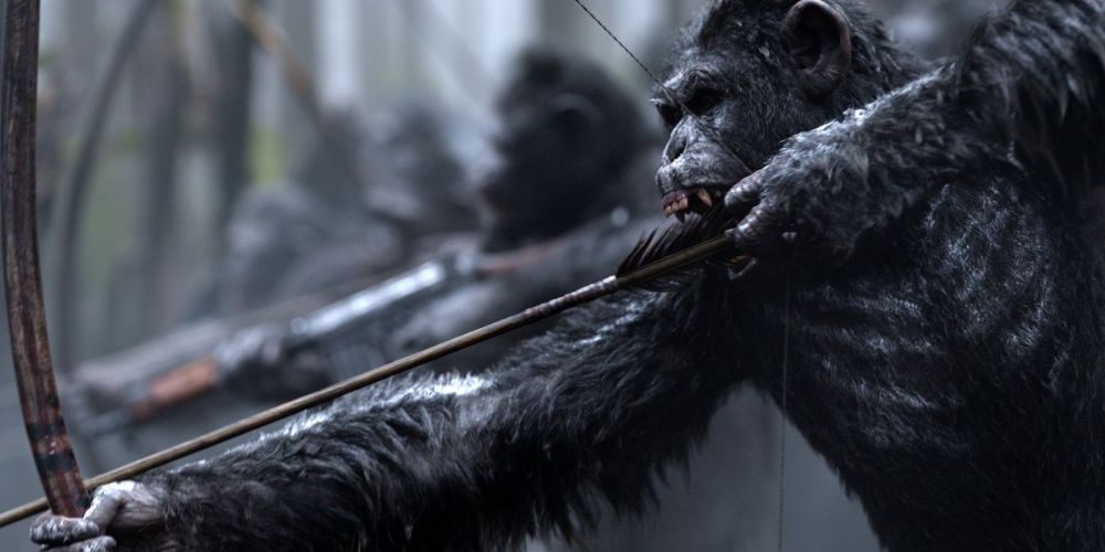 Apes aiming their bows and arrows before an attack in War for the Planet of the Apes