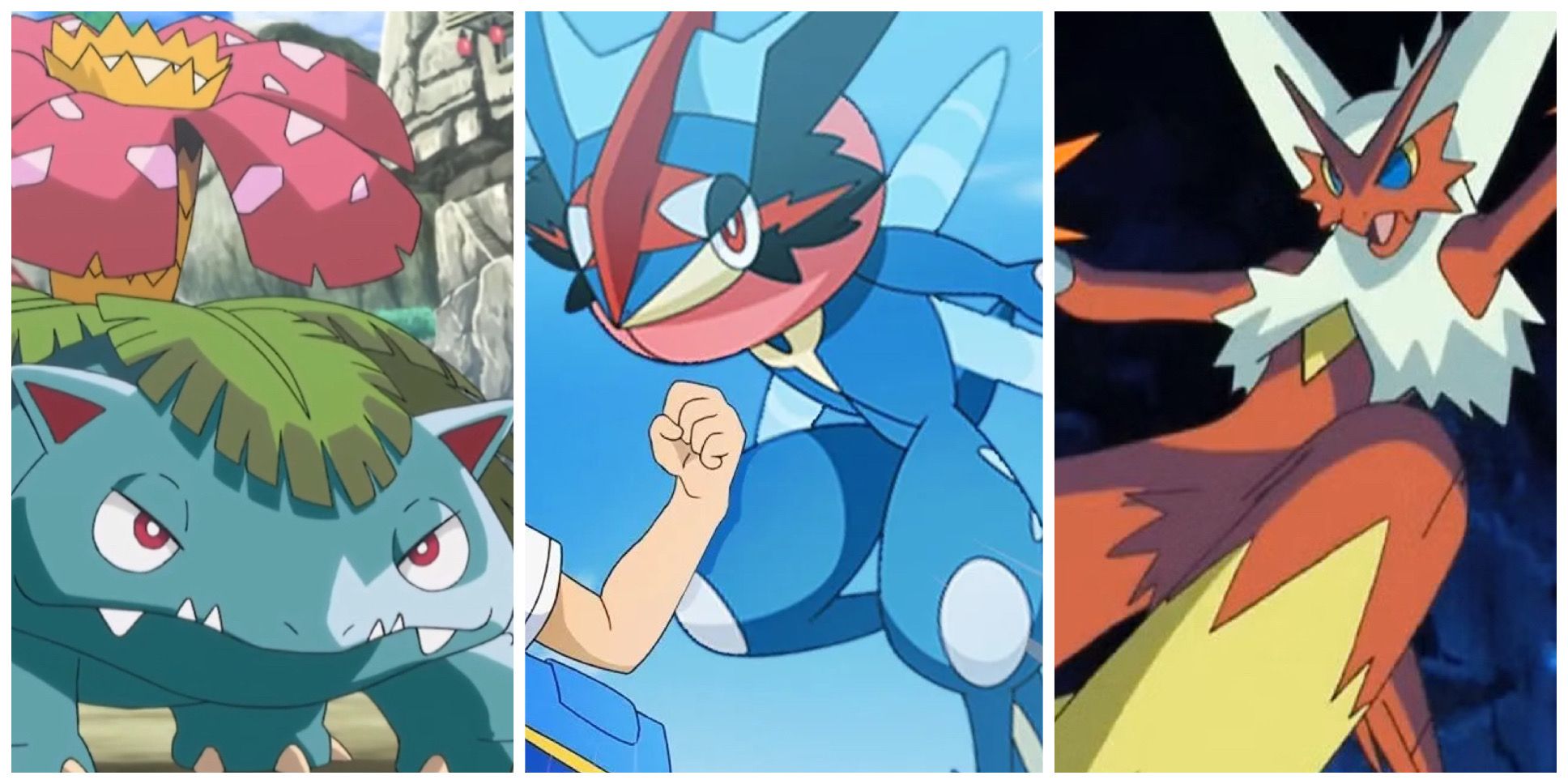 Venusaur, Greninja and Blaziken in the Pokemon anime