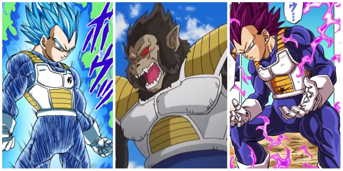 Vegeta ssj 5 (AF) vs vegeta ssj blue evolution (dbs)