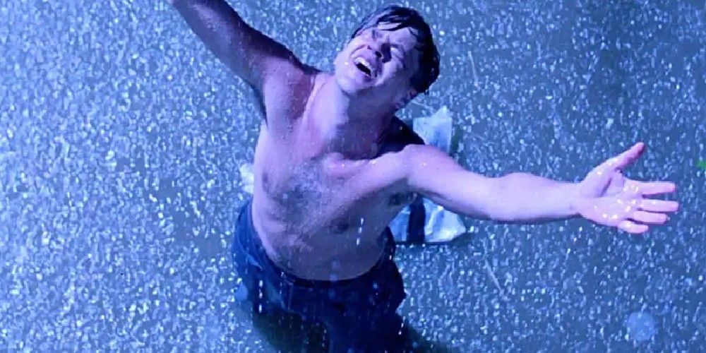 Andy Dufresne basks in the rain in The Shawshank Redemption