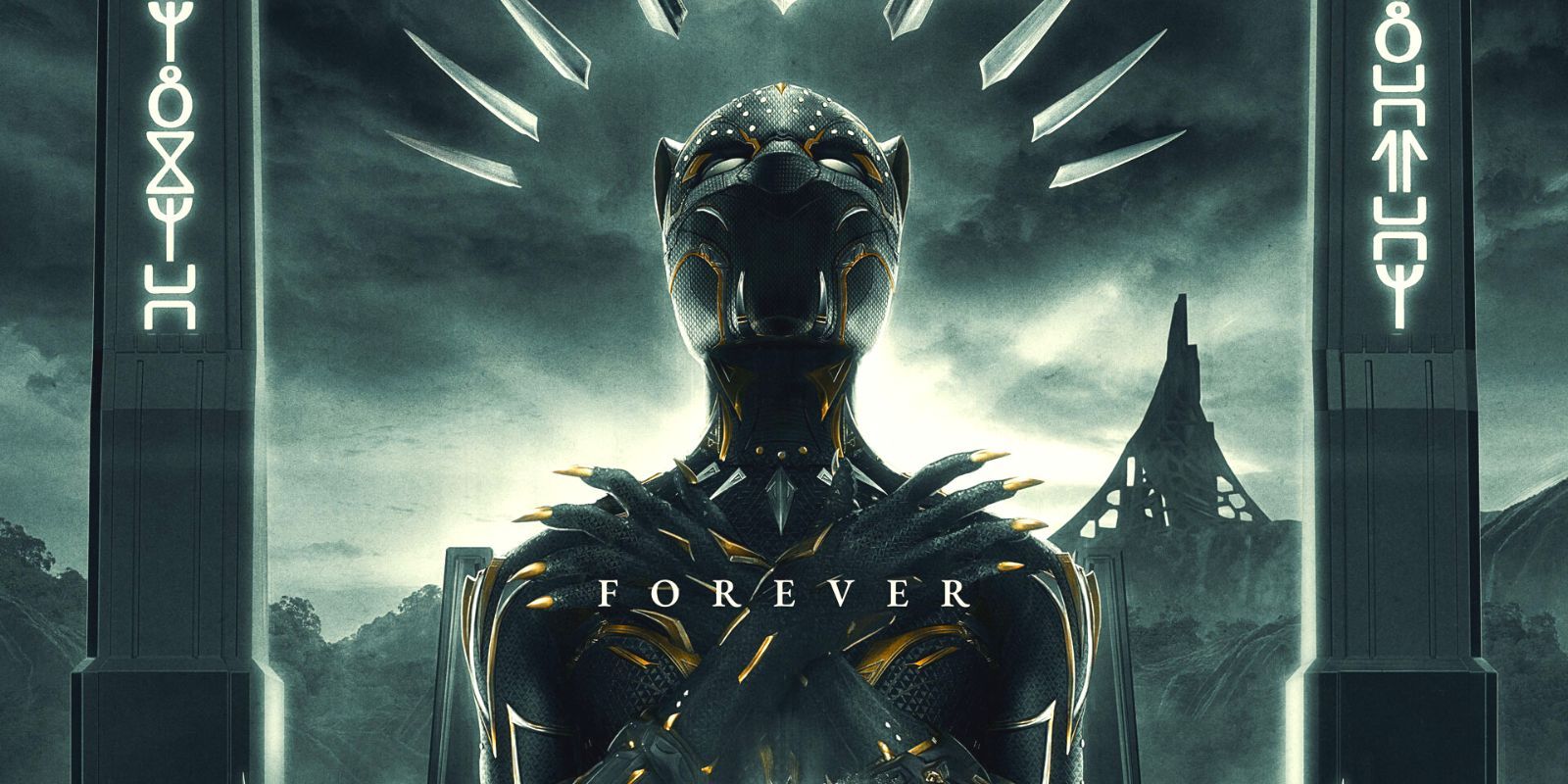Black Panther 2 Poster