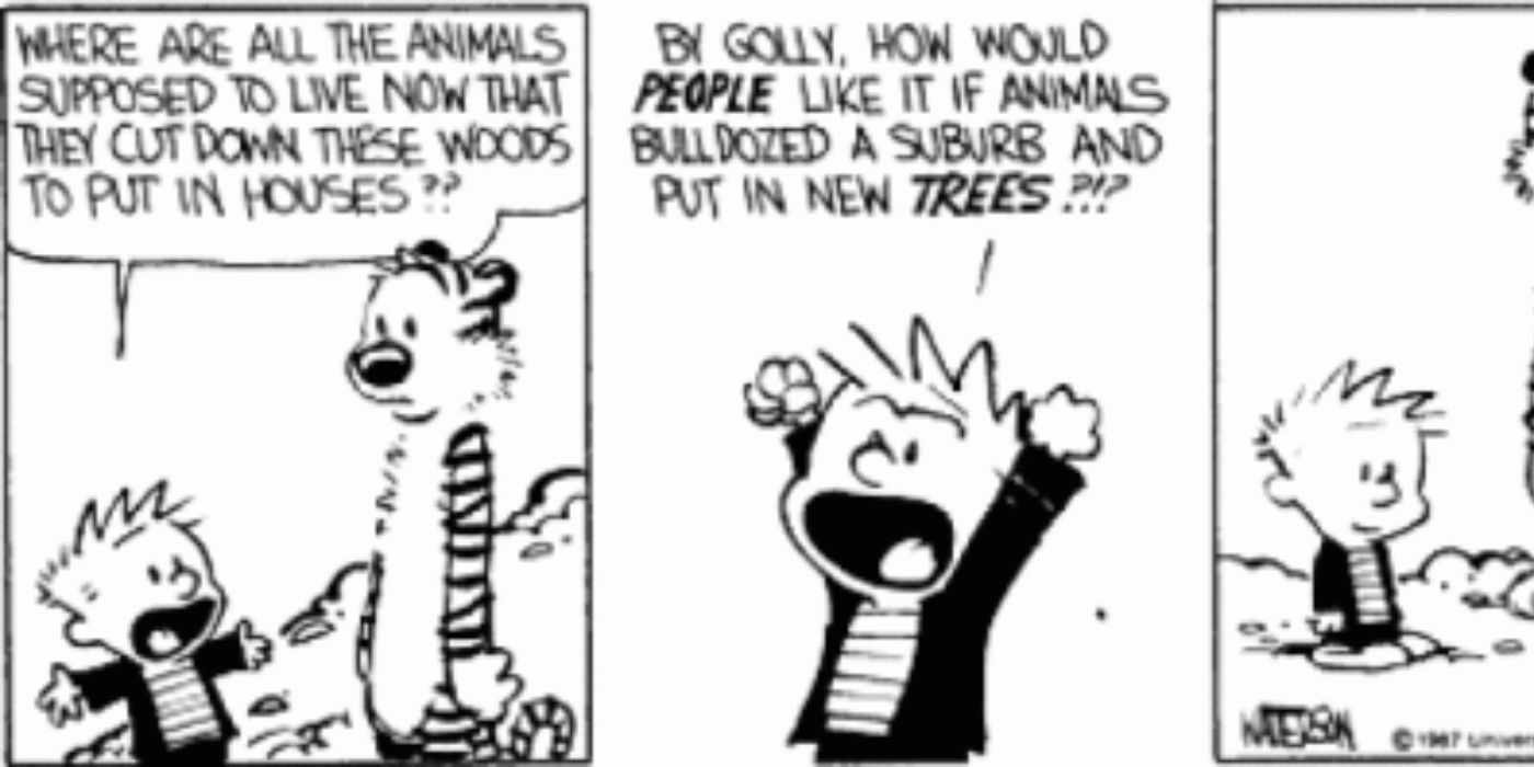 Calvin yelling about suburban development in Calvin & Hobbes
