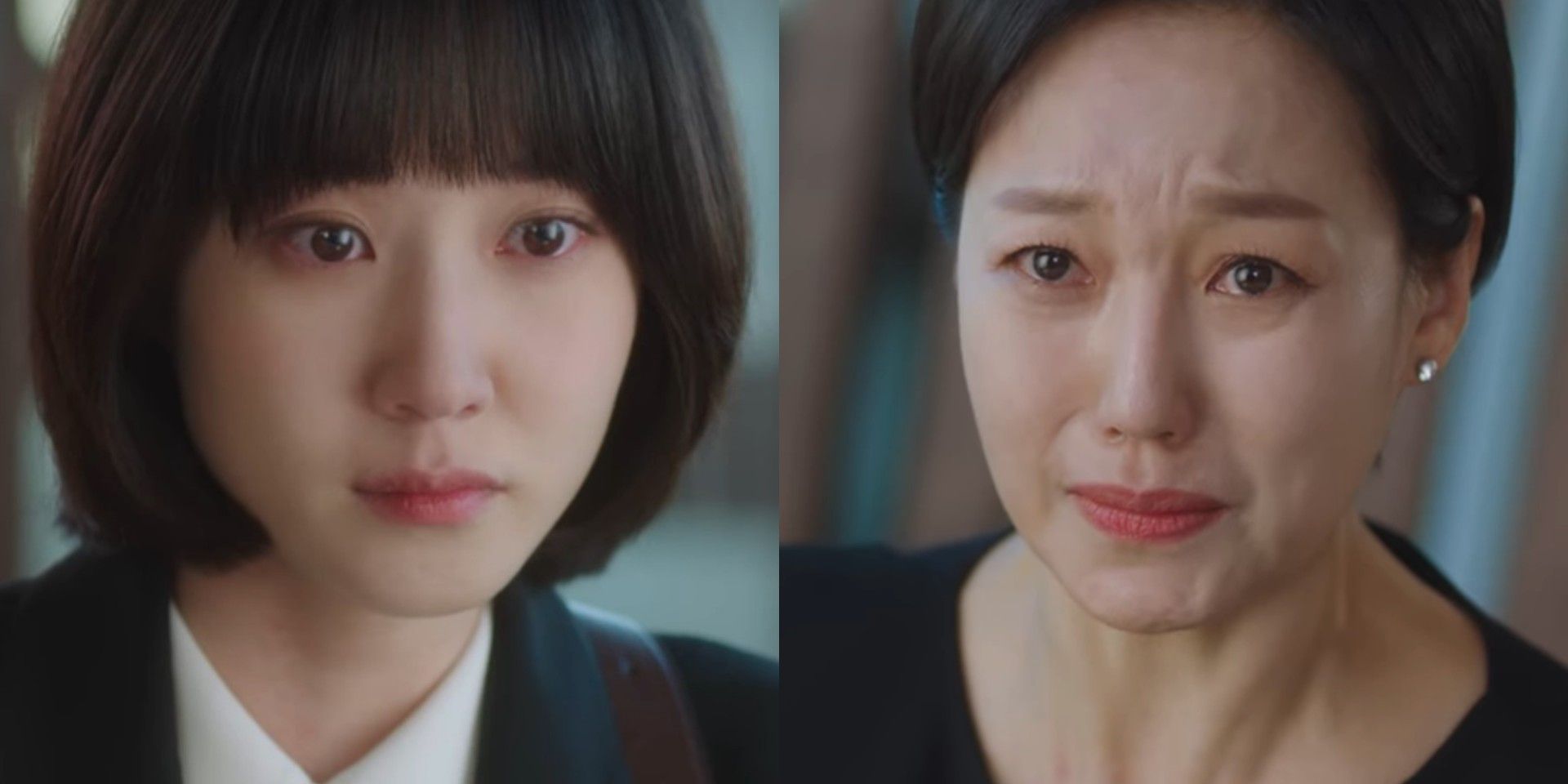 10 Times Extraordinary Attorney Woo Made Us Bawl