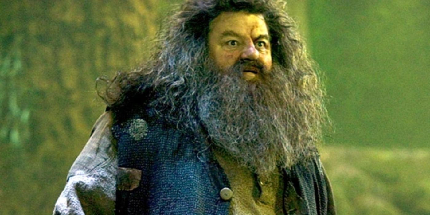 Hagrid In The Forest in Harry Potter