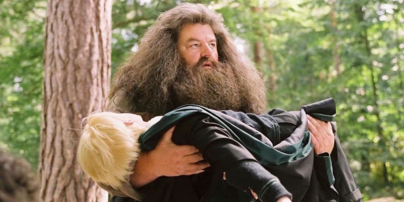 Hagrid segura Draco em Harry Potter