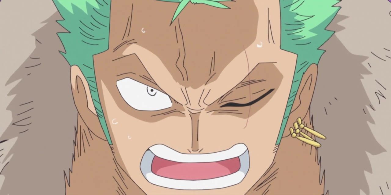 Roronoa Zoro on Punk Hazard Island in One Piece