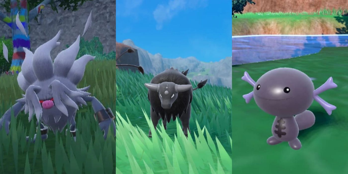 EVERY NEW DUAL TYPE Combinations For Pokemon Scarlet And Violet! 