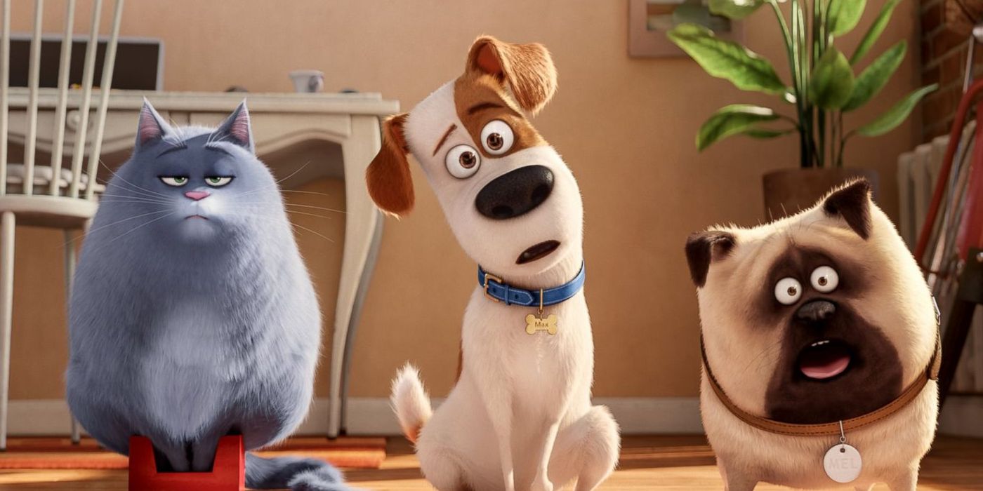 A cat and two dogs in Secret Life of Pets