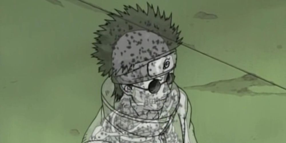 Shino Aburame has a defect in his body, Naruto