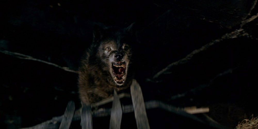 The werewolf from Wolfen attacks