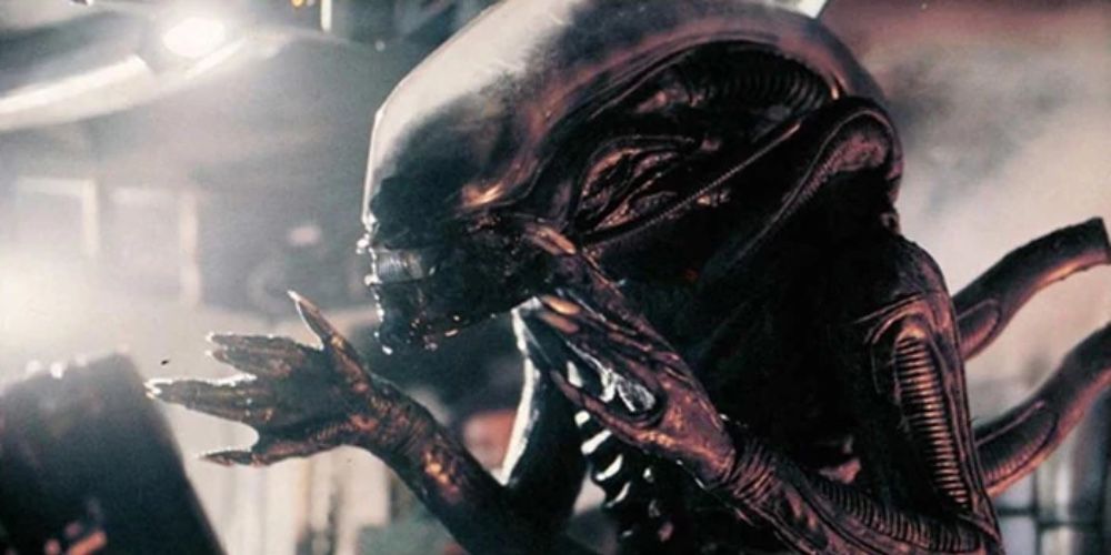 Alien Star Hasn't Watched Any of the Sequels, Will Be Skipping Romulus